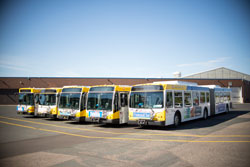 metro buses