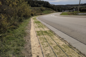 Roadside turfgrass installation