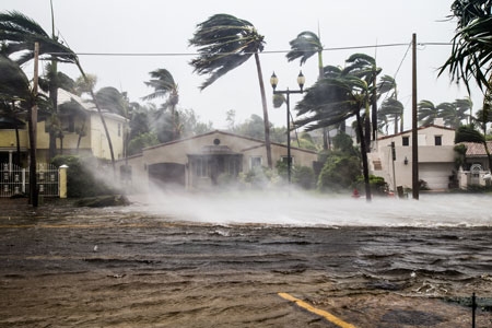Hurricane flooding and winds with palm trees and houses